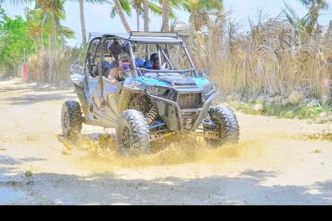 Buggy & ATV Outdoor Tour in Punta Cana - Price and Value: Is $35 Worth This Much Moving Around?