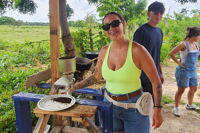Buggy, horse and plantation ranch - Key highlights you should know before you go