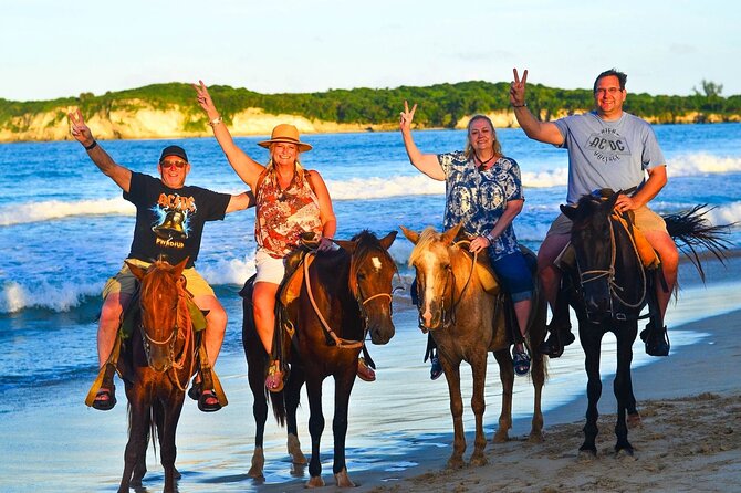 Buggy, horse and plantation ranch - Snacks and tastings: what’s included beyond the lessons