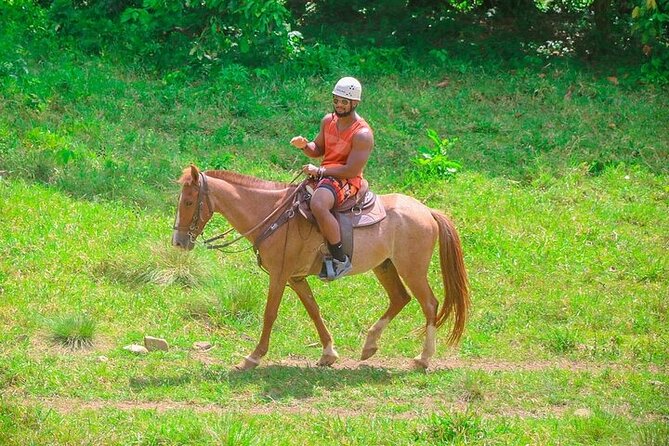 Buggy, Horse and Zip Line with Lunch included from Punta Cana - Key Highlights at a Glance