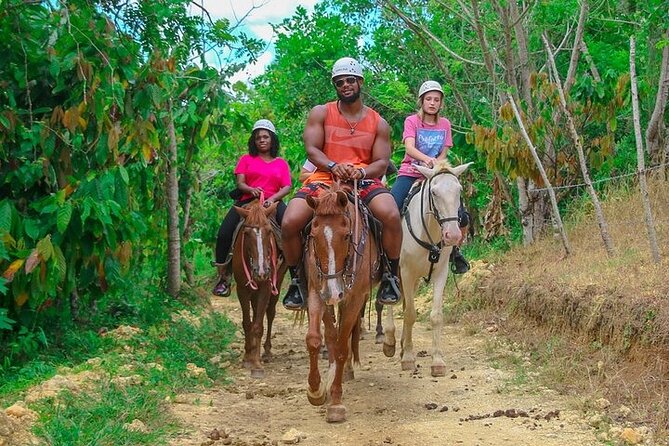 Buggy, Horse and Zip Line with Lunch included from Punta Cana - Lunch Included: Why It’s Not a Throwaway Part of the Day