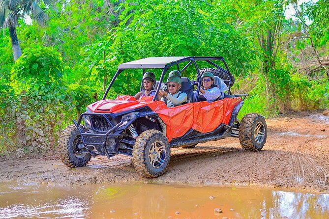 Buggy Horses and Zip Line from Punta Cana with Lunch Included - Who This Tour Suits Best