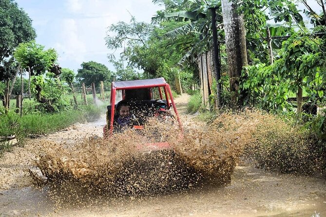 Buggy Off-Roading with Chocolate and Coffee Tasting In Punta Cana - Stop 1: Macao Beach first, then you switch to adventure mode