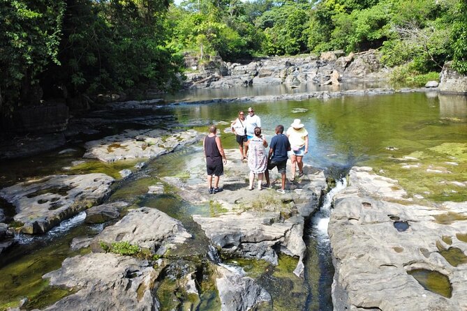 Buggy Ride, Horseback, Zipline,Eco Farm,Macao Beach - Price and logistics: what $130 really buys you