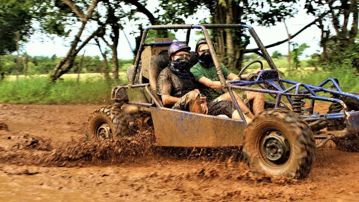 Buggy ride on rural routes and Macao Beach - Key Highlights You’ll Actually Notice
