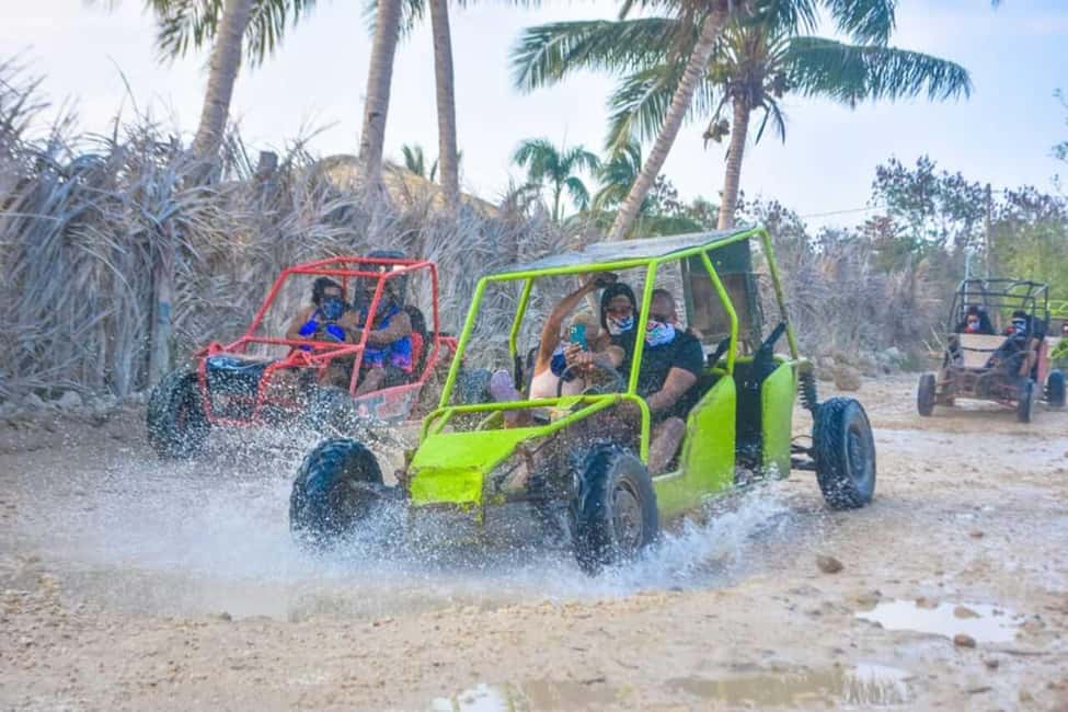Buggy ride on rural routes and Macao Beach - Price and Value: What $70 Gets You (and What It Doesn’t)