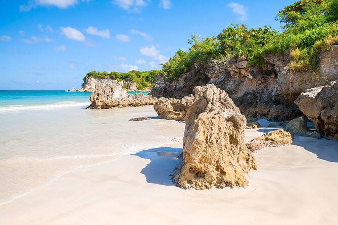 Buggy Tour of the Dominican Countryside + Beach and Local Culture - Domitai Park and the Taíno freshwater cave: jungle water you can feel