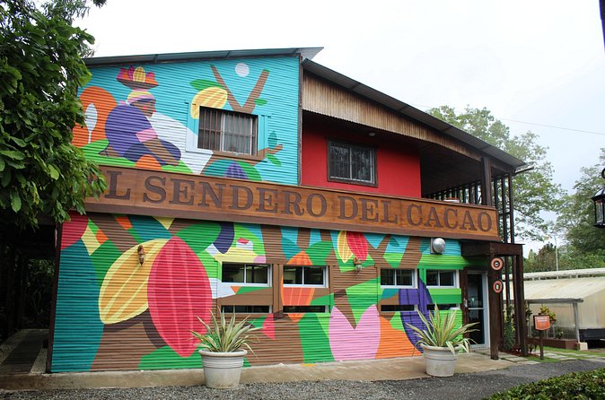 Cacao Plantation and Chocolate Factory Tour- Chocolate Lovers - The lunch you’ll actually want: buffet + hot chocolate