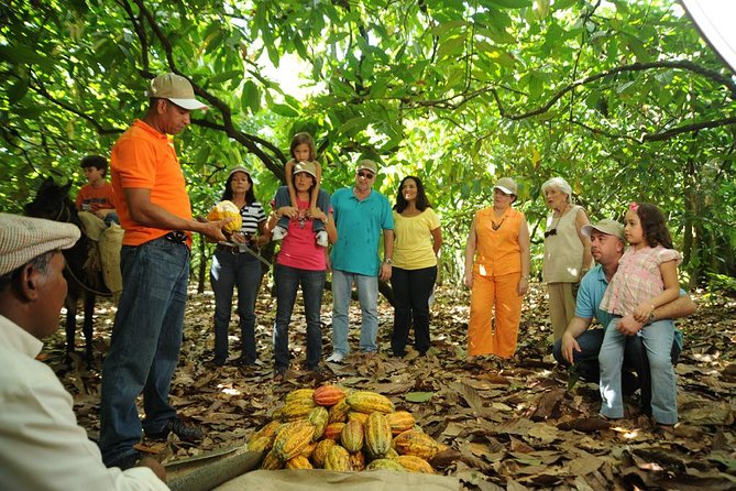 Cacao Plantation and Chocolate Factory Tour- Classic - Key highlights worth showing up for