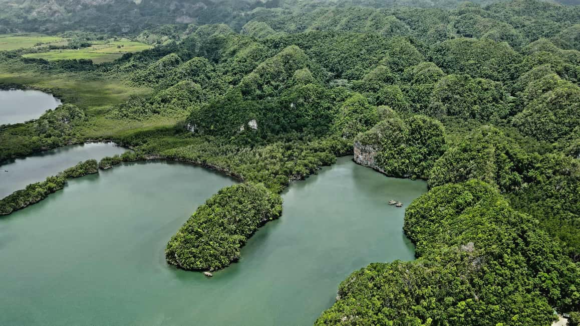 Cano Hondo Natural Pools & Los Haitises boat tour - Should You Book Cano Hondo Natural Pools & Los Haitises?