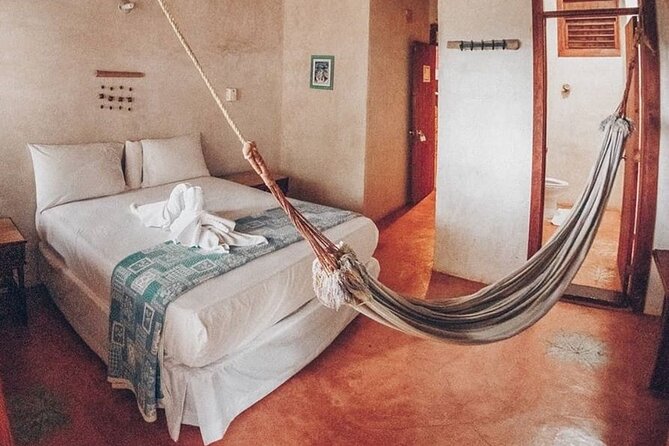 Cano Hondo Rooms + Kayaking + Hiking + Natural Waterfall Swimming Pools - Kayaking or Boat Trip (3 Hours): Mangroves to Bay Views