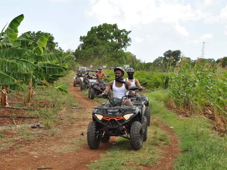 Caribbean Buggy Escape – Bayahibe Jungle & Safari - Price and value: is $49 a good deal?