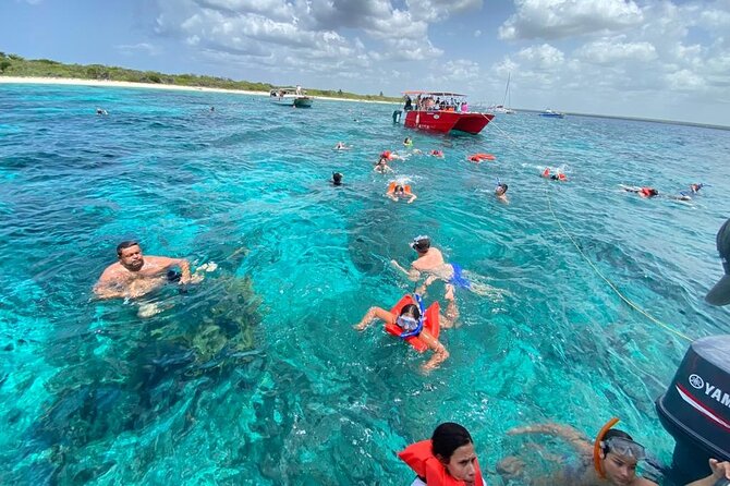 Catalina Island and Snorkeling - Full-day Trip - Key things to know before you go