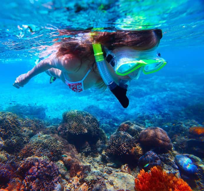 Catalina Island Catamaran Cruise with Lunch from Bayahibe - Key things you’ll notice right away