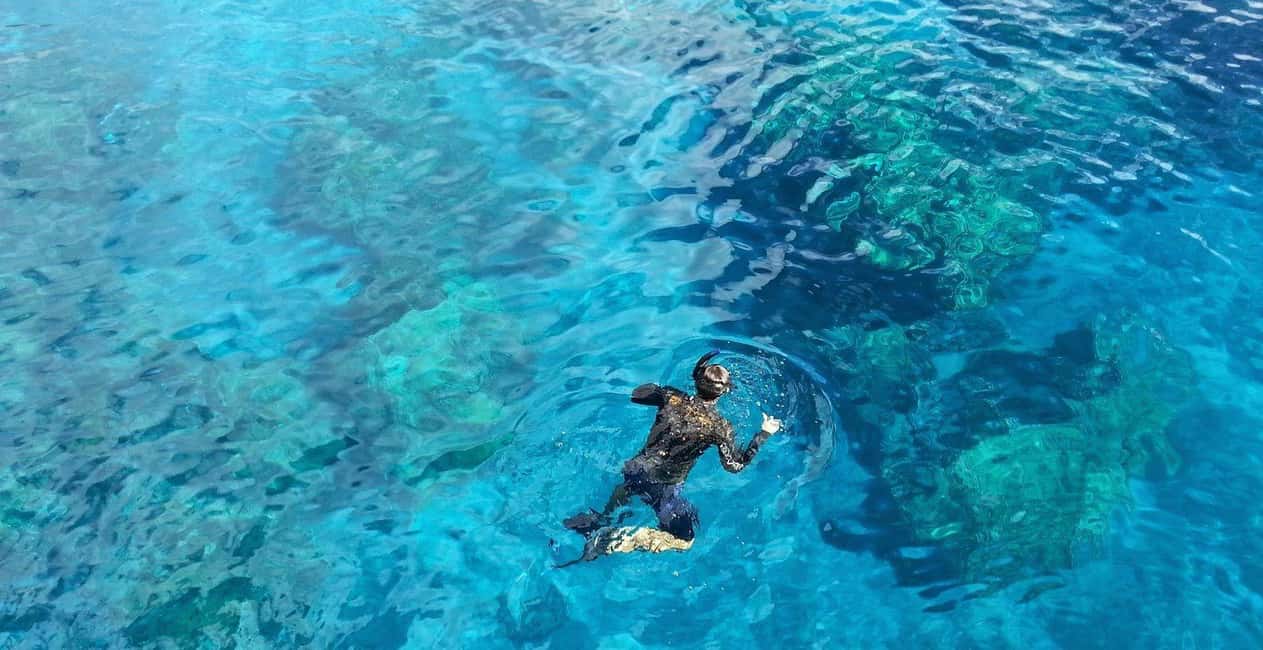 Catalina Island Catamaran Cruise with Lunch from Bayahibe - Cotubanamá National Park views: why the sail matters as much as the water time