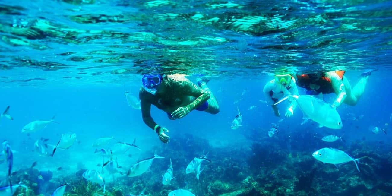 Catalina Island Catamaran Cruise with Lunch from Bayahibe - Price and value at $65: what you’re paying for (and what can cost extra)