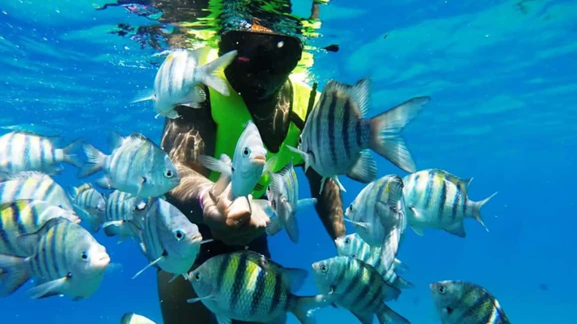 Catalina Island: Day Trip - Best Snorkeling! - Day-trip basics: getting from Bávaro to Catalina Island