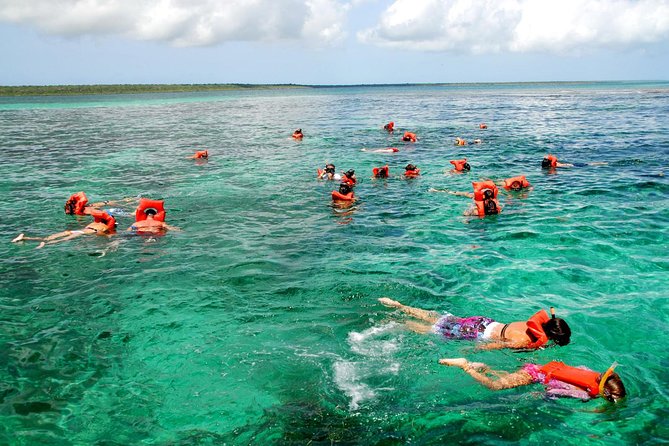 Catalina Island DayTrip + Great Snorkeling - Key things to know before you go