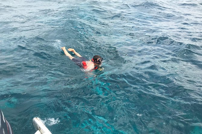 Catalina Island DayTrip + Great Snorkeling - Crew attitude, group size, and how to make the day feel easy
