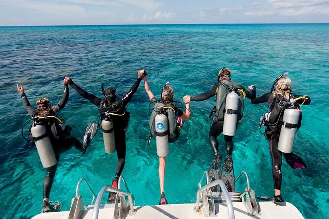 Catalina Island Diving Tour - 8 Hours on the Clock: Pace, Lunch, and the Real Expectations