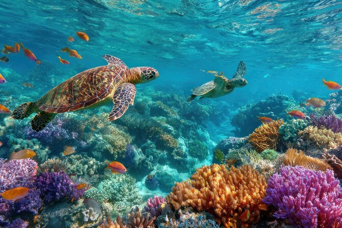Catalina Island even more unspoilt than Saona Island - Key Things That Make This Tour Worth Your Time