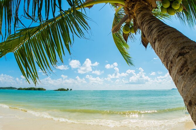 Catalina Island even more unspoilt than Saona Island - Why Catalina Island Feels Less Developed Than Your Usual Island Day
