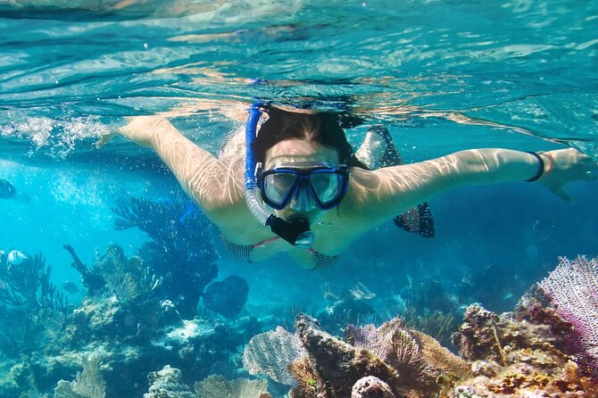 Catalina Island even more unspoilt than Saona Island - Snorkeling Equipment: How to Get More From It