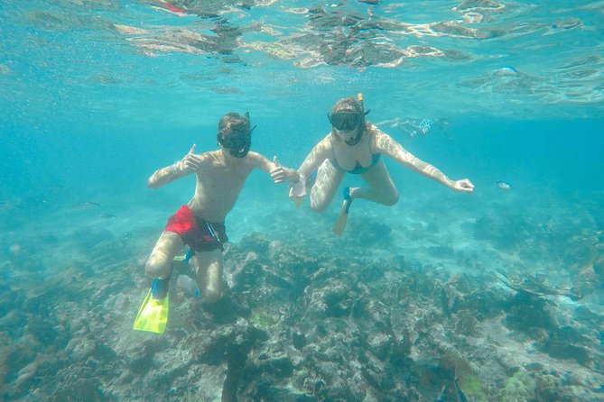 Catalina Island - Full Day All Inclusive Experience - Board the Catamaran: What the Ride Typically Feels Like