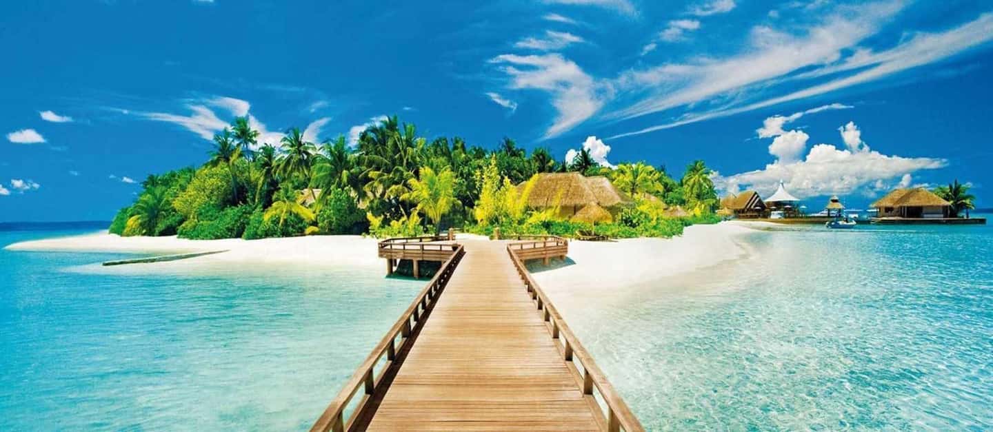 Catalina Island Full-Day Snorkeling + Lunch from Punta Cana - Price and value: is $98 really a good deal?