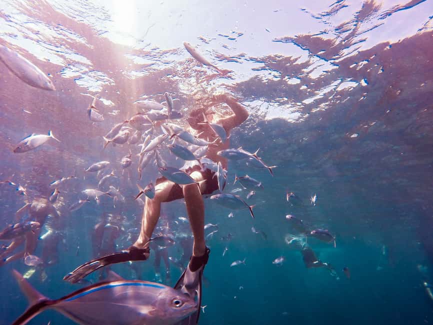 Catalina Island Full-Day Snorkeling + Lunch from Punta Cana - Speedboat time across the water: the fun part, with a caveat