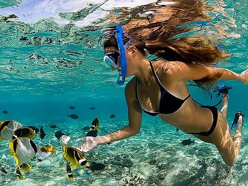 Catalina Island Full-Day Snorkeling + Lunch from Punta Cana - Communication and group management: how to avoid a frustrating day