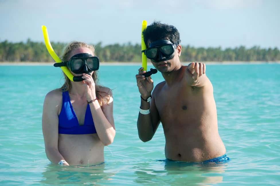 Catalina Island Full-Day Snorkeling Tour - The Wall: your best bet for clear snorkeling visibility