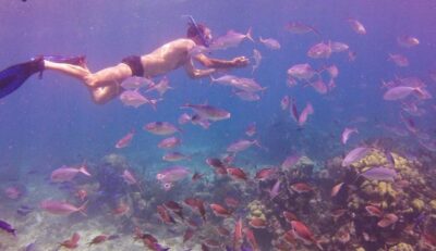 Catalina Island Full-Day Snorkeling Tour - Getting to the marina: how the schedule flows