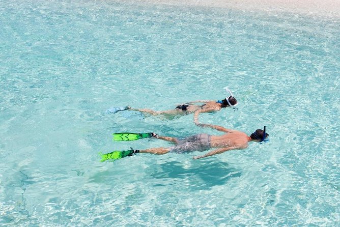 Catalina Island Scuba Diving and Snorkeling Tour from Punta Cana - Key things you’ll notice on this Catalina Island tour