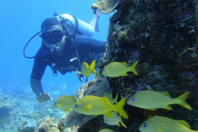Catalina Island Scuba Diving and Snorkeling Tour from Punta Cana - The Wall: the underwater look that earns its reputation