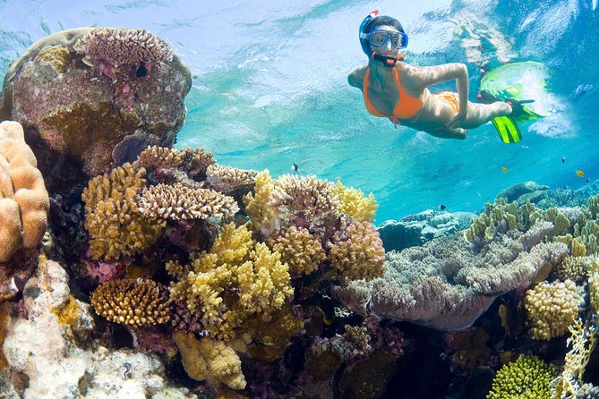 Catalina Island Snorkel Excursion from Punta Cana - Key highlights at a glance