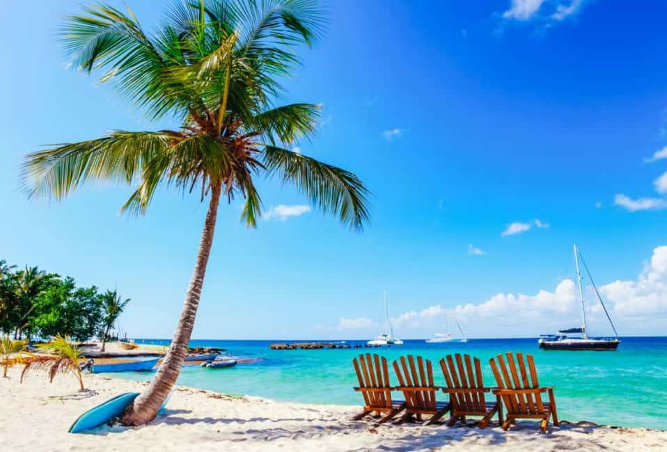 Catalina Island snorkeling Dominican Republic - Key Things You’ll Notice on Catalina Island