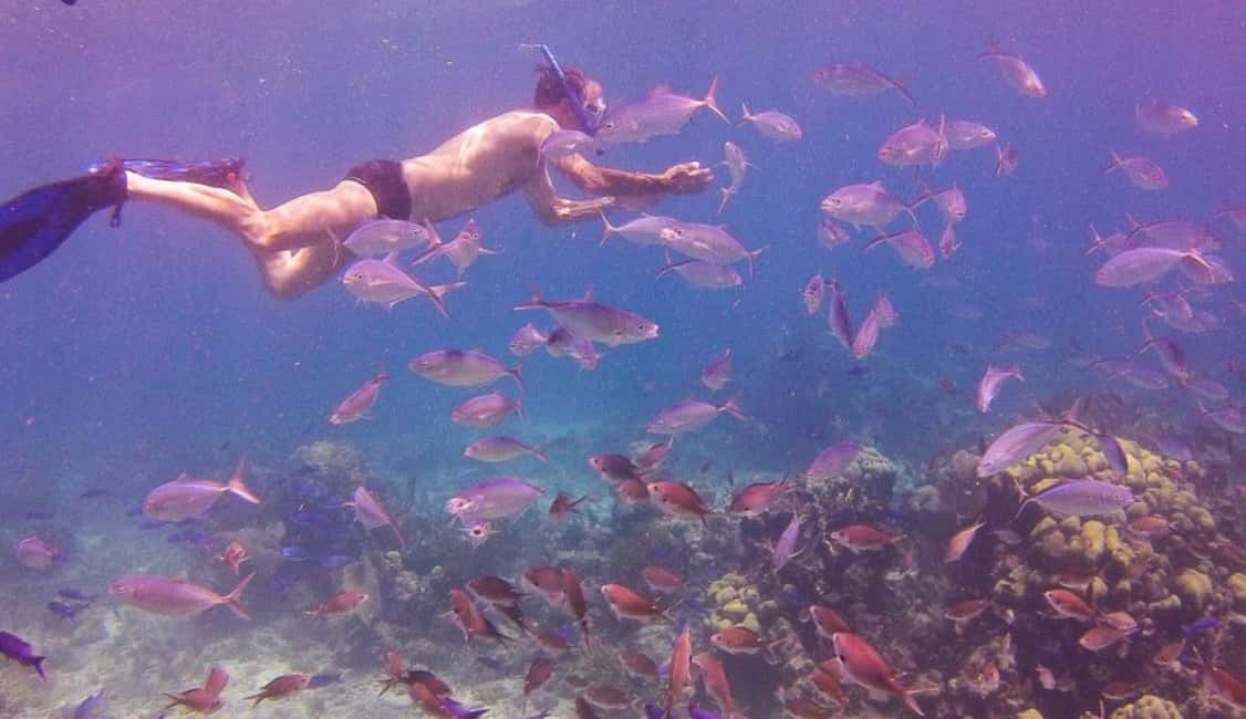 Catalina Island snorkeling Dominican Republic - Cotubanama National Park Reef Stop: What You’ll Look For