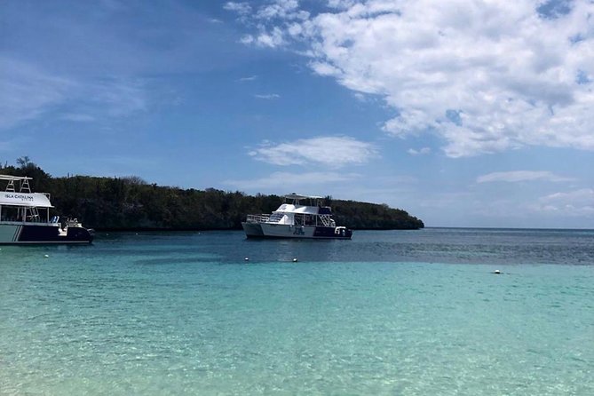 Catalina Island Snorkeling: Explore its Crystal Clear Waters - Lunch on the Beach: The Meal You’ll Actually Remember