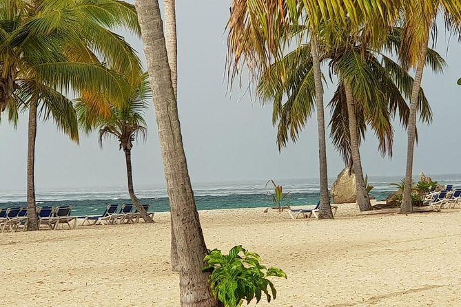 Catalina Island Snorkeling: Explore its Crystal Clear Waters - La Romana Reef Snorkeling: Your First Taste of the Water
