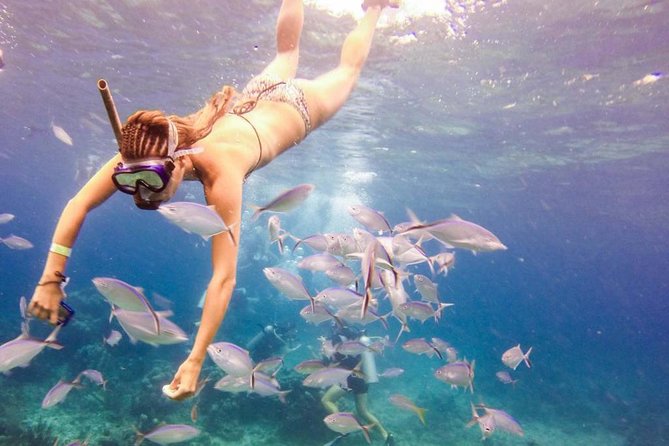 Catalina Island & Snorkeling Paradise From Punta Cana - Key Highlights You’ll Care About