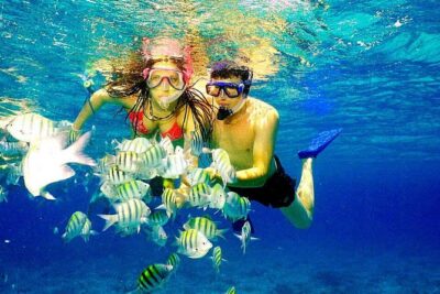 Catalina Island & Snorkeling Paradise From Punta Cana - Getting There From the Punta Cana Area (and Why Timing Matters)