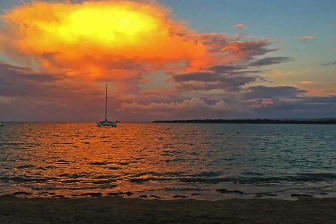 Catalina Island & Snorkeling Tour - Catalina Island beach time: swim, snorkel, and slow down