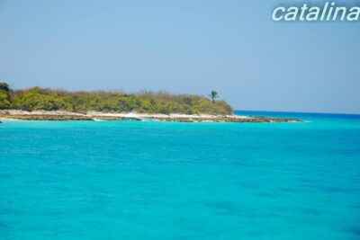 Catalina Island & Snorkeling Tour - The morning game plan: pickup, La Romana, and getting on the water