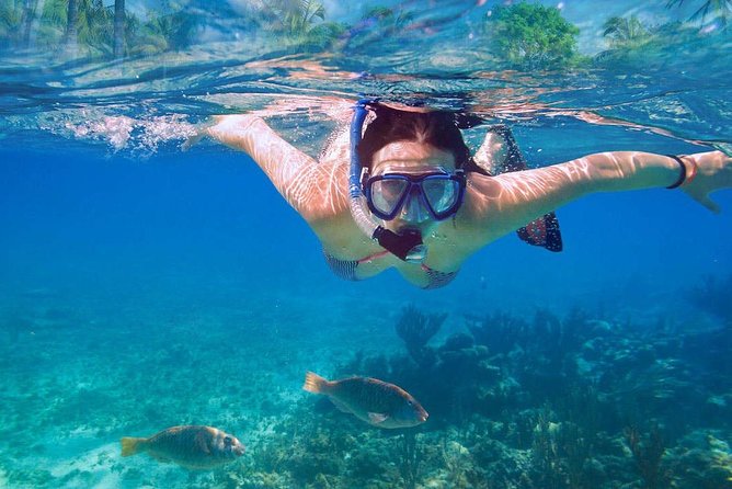 Catalina Island & Snorkeling Tour - Lunch plus open bar: the meal you’ll actually look forward to