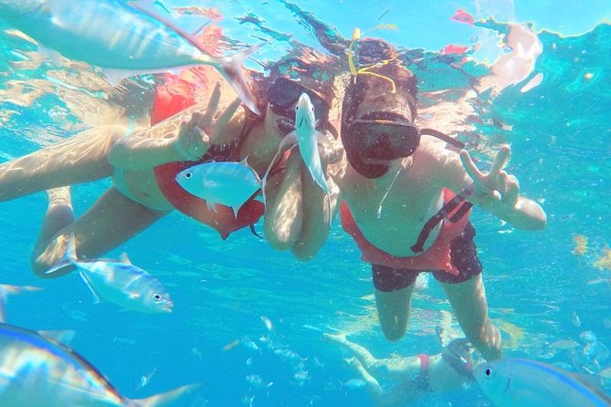 Catalina Island & Snorkeling Tour - Merengue and bachata classes: culture break without the pressure