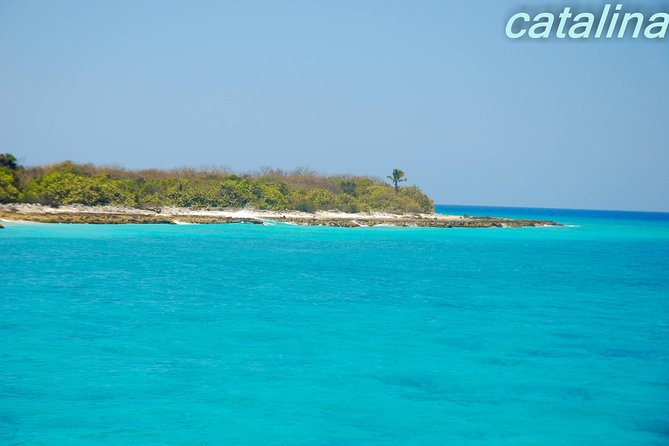 Catalina Island & Snorkeling Tour - The morning game plan: pickup, La Romana, and getting on the water