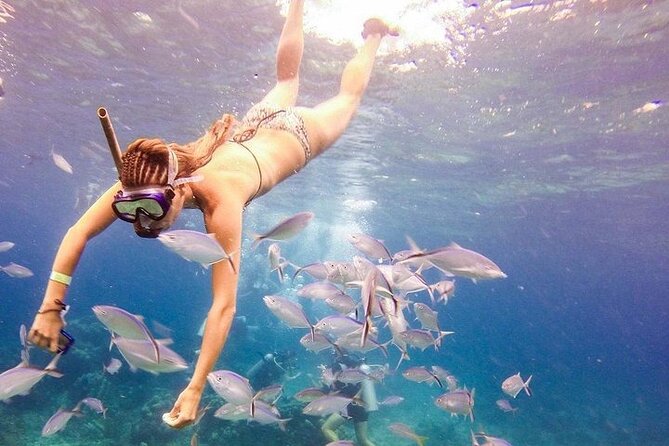 Catalina Island & Snorkling Tour Full Day All Inclusive - The big picture: a full-day Catalina plan from Punta Cana