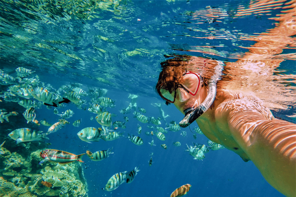 Catalina Island Tour with Snorkelling and Lunch - Language support: you’ll find your guide