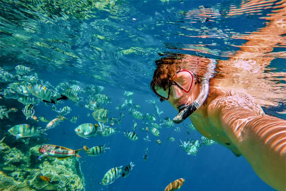 Catalina Island Tour with Snorkelling and Lunch - Should you book Catalina with snorkeling and lunch?